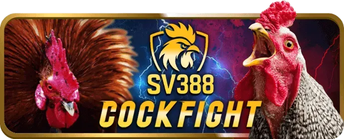 Hướng dẫn đặt cược đá gà tại win555 login
